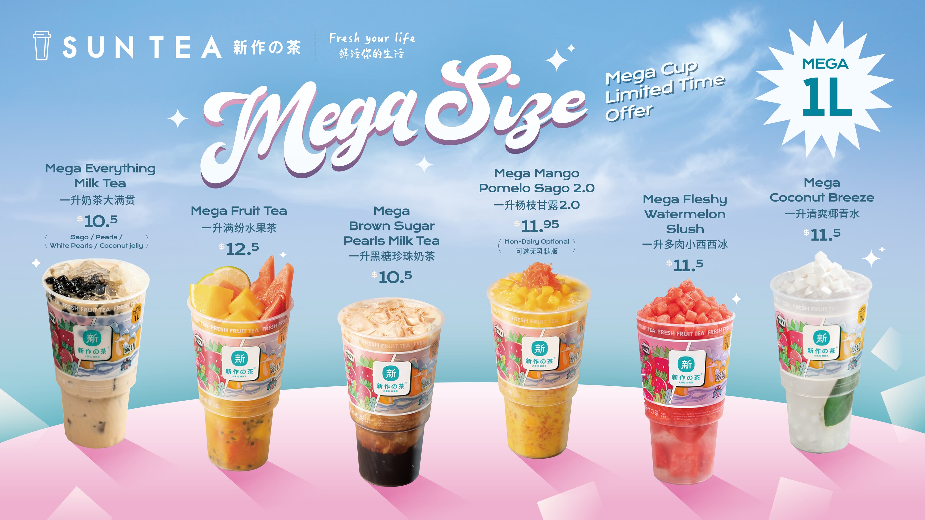Mega Size — 1L